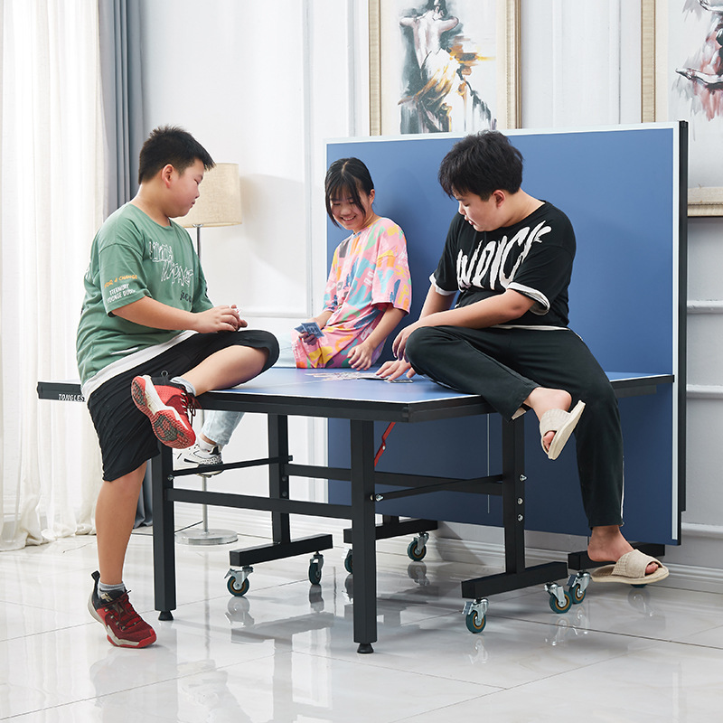 Foldable Indoor Table Tennis T - Table Tennis Folding Table ulasan dan harga
