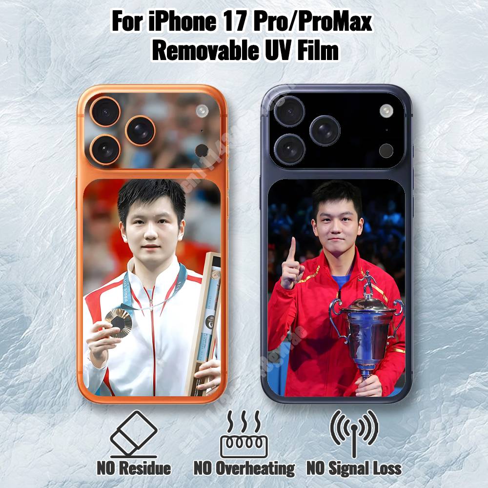 F-Fan Z-Zhendong Table Tennis  - Table Tennis Zhendong ulasan dan harga